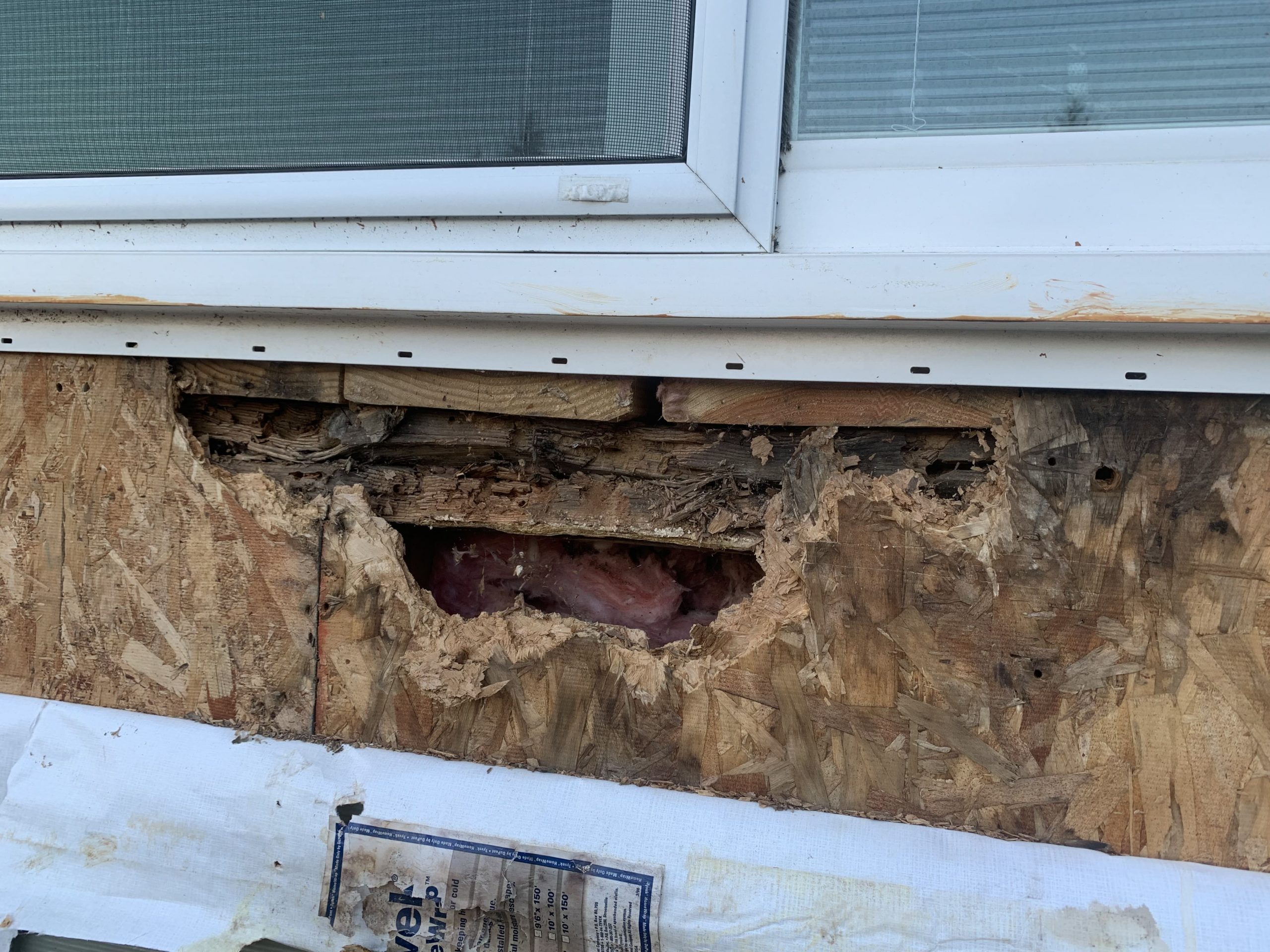 Severe dry rot damage beneath a window, showing decayed wood, missing sheathing, and exposed insulation on a home's exterior wall.